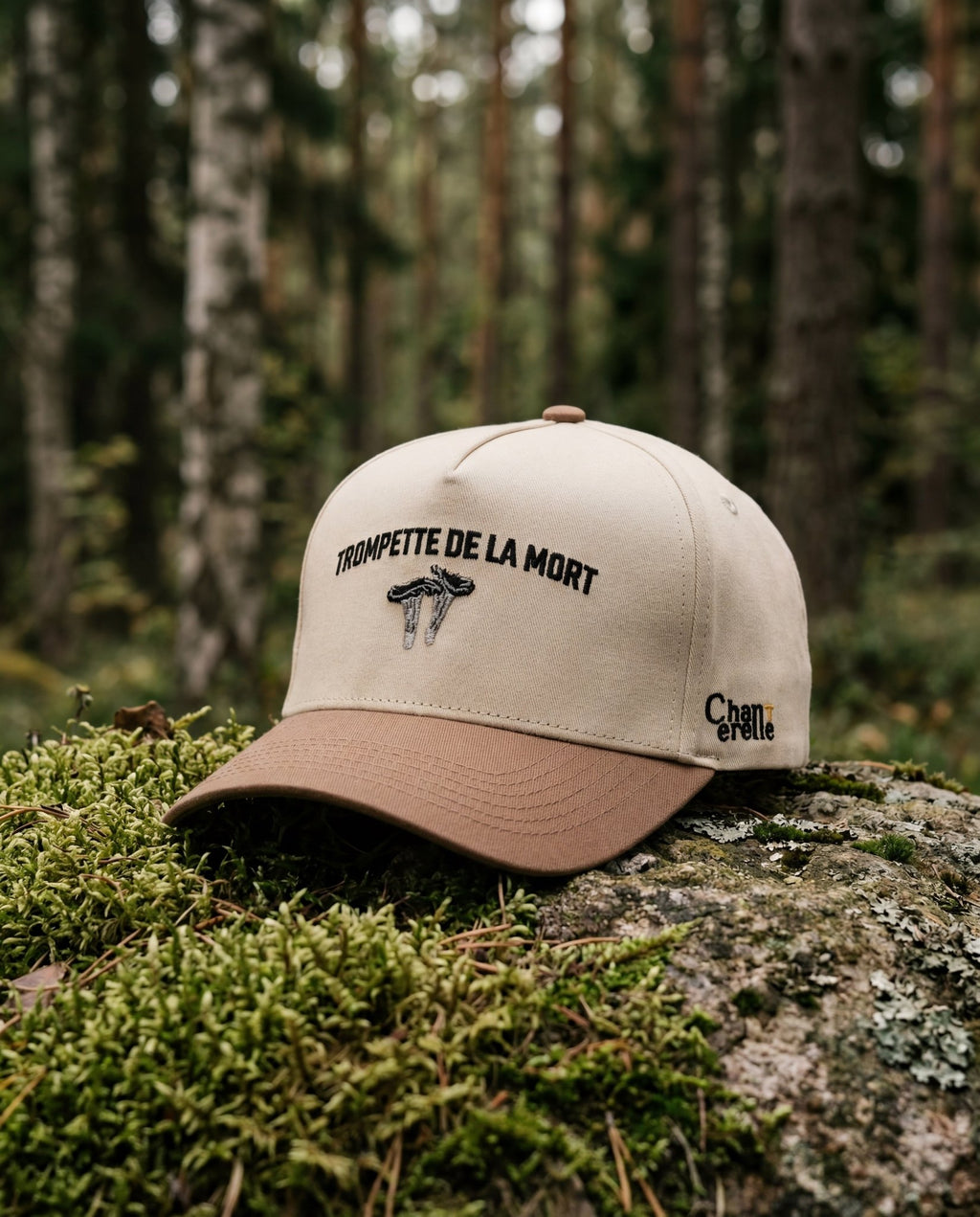 Trompette de la mort – A - frame Snapback - 4st AB